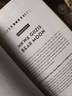 You Are the Medicine - 13 Moons of Indigenous Wisdom