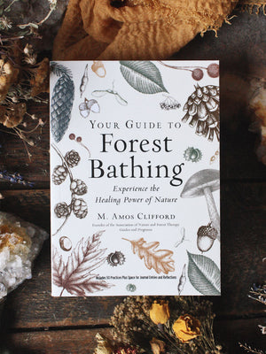 Your Guide to Forest Bathing