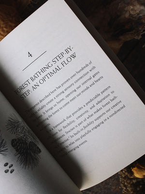 Your Guide to Forest Bathing