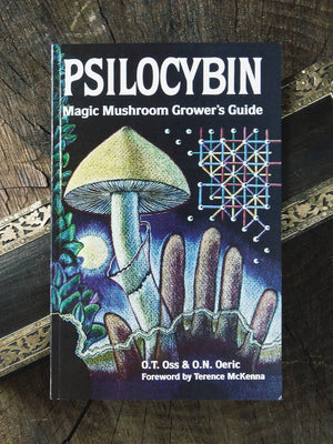 books psilocybin terence mcKenna 1