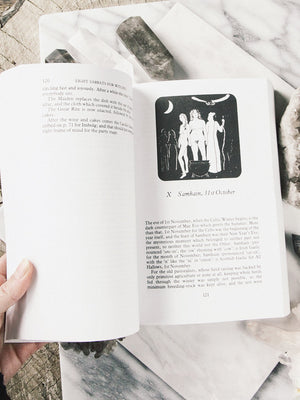 books witches bible 2