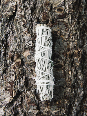 rite of ritual white sage cleansing sticks small
