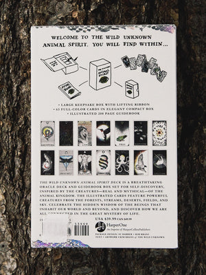 tarot and oracle wild unknown animal spirit deck and guidebook 2