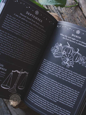 2026 Witch's Diary Planner Calendar - Northern Hemisphere