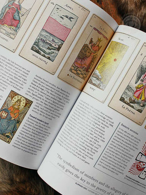 A History of Astrology, Divination and Prophecy