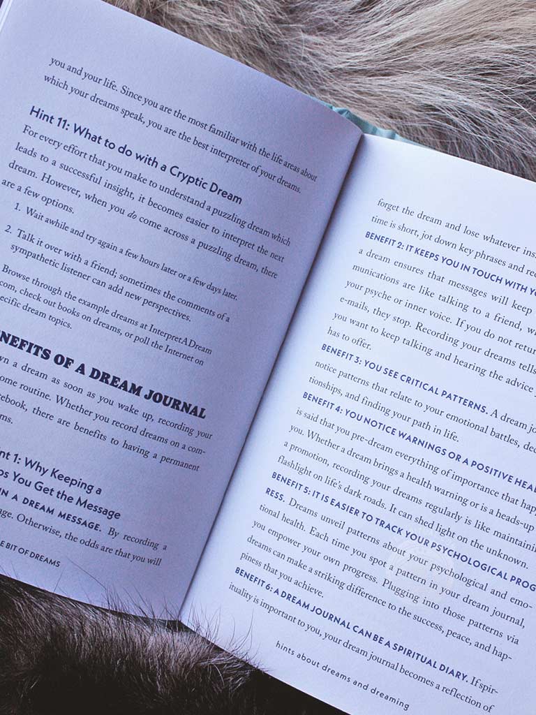 A Little Bit of Dreams