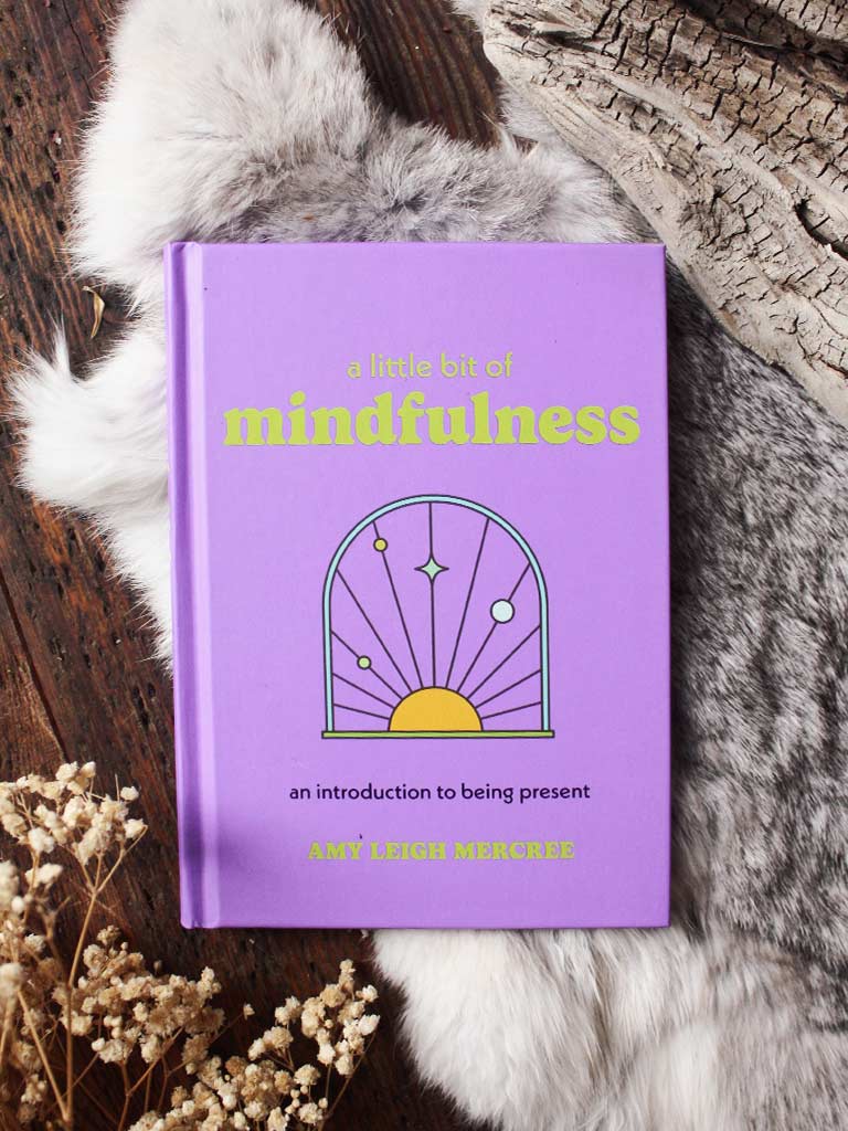 A Little Bit of Mindfulness