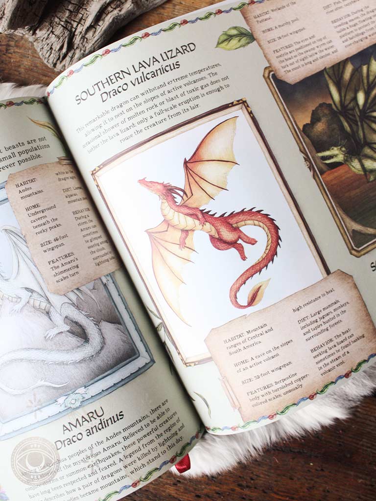 A Natural History of Dragons
