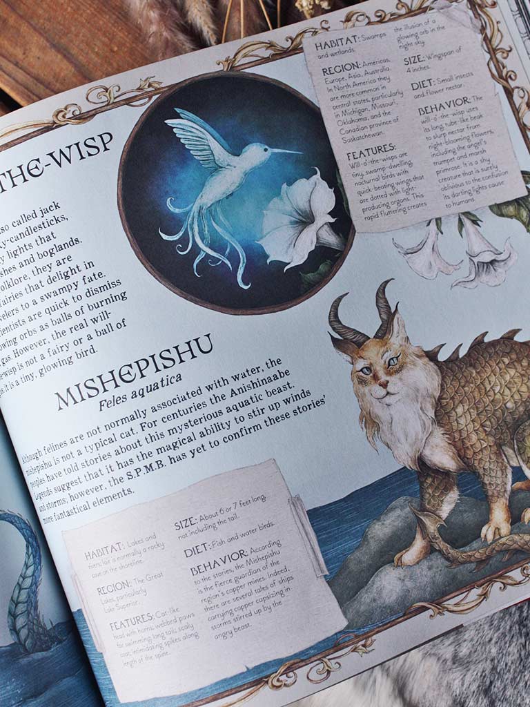 A Natural History of Magical Beasts
