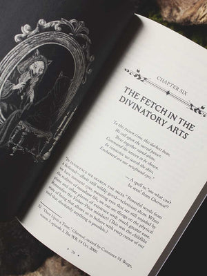 A Witch's Guide to Fetch Work - Rituals, Spells, & Practices