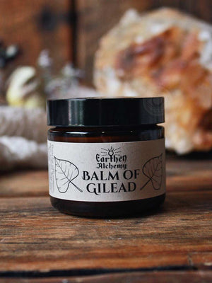 Balm of Gilead - Wildcrafted Herbal Balm