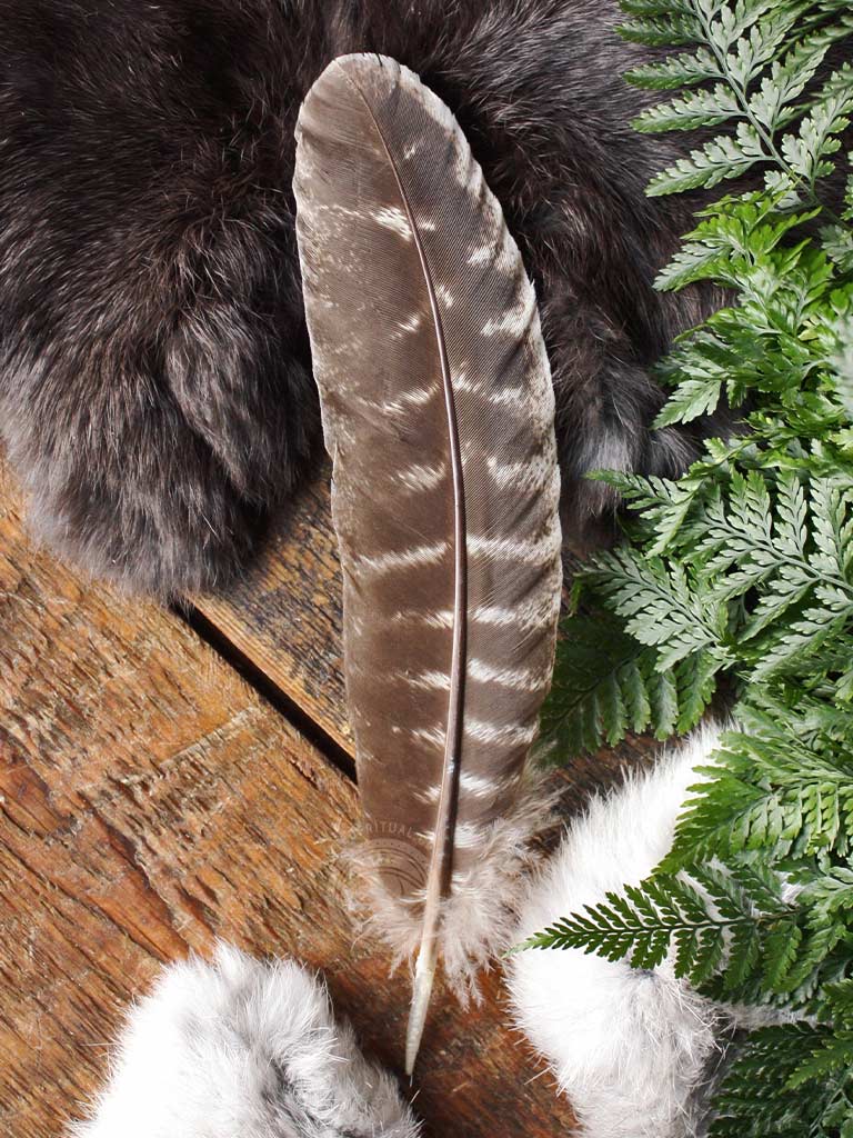 Ritual Use Feathers