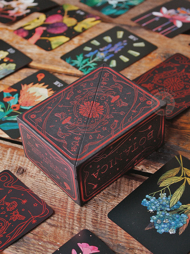 Botanica Full Bloom - A Tarot & Oracle Deck About the Language of Flowers