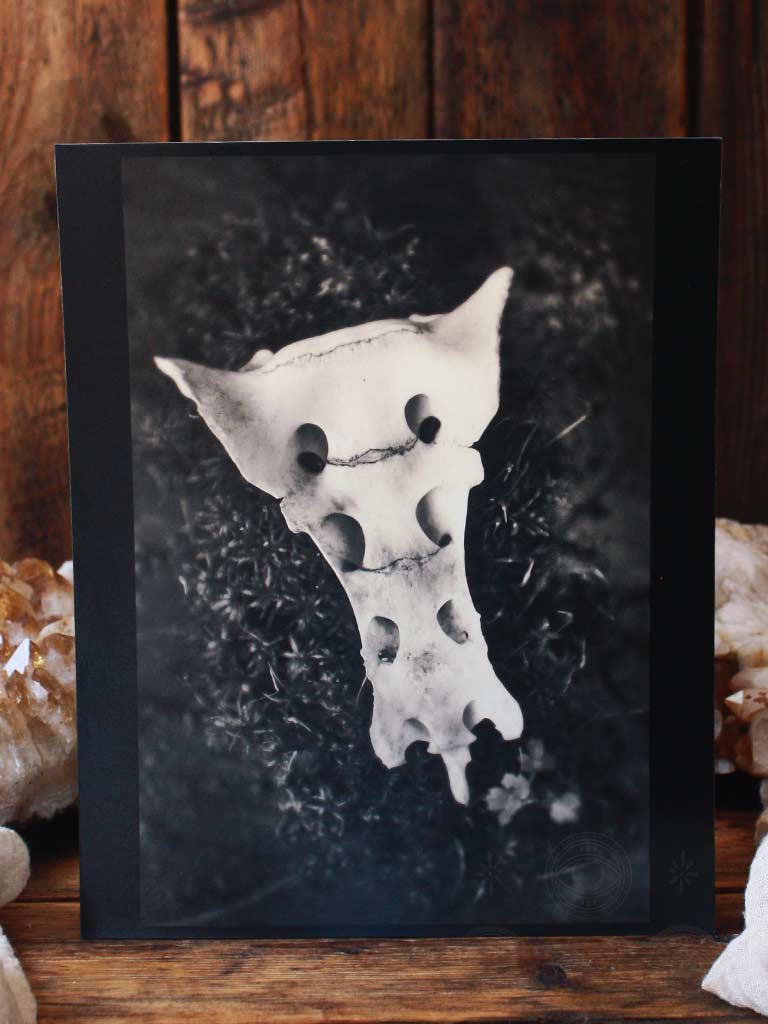 Brutally Beautiful Art Print - L