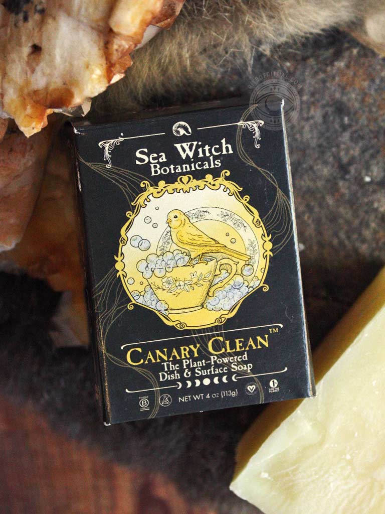 Canary Clean - Dish & All-Purpose Surface Soap