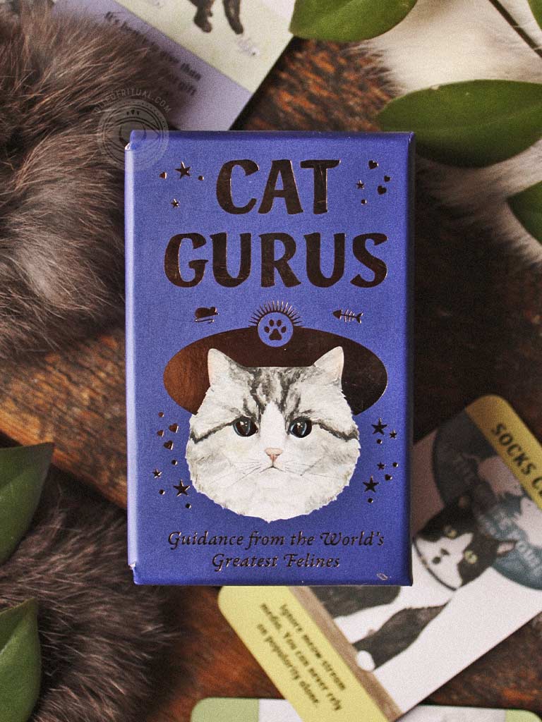 Cat Gurus - Mini - Guidance from the World's Greatest Felines