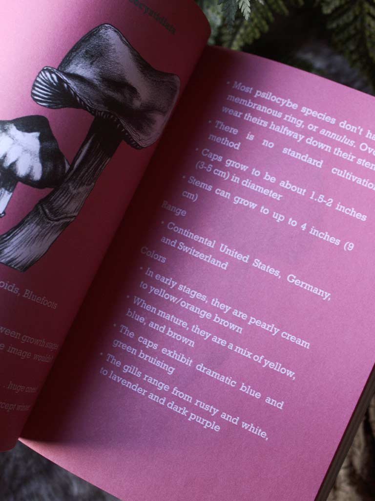 Cooking with Magic - The Psilocybin Cookbook