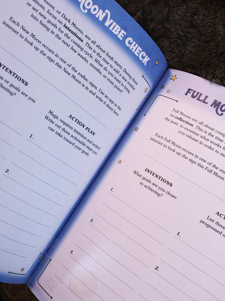 Cosmic Companion Workbook - A Guide for Incorporating Astrology Into Your Life