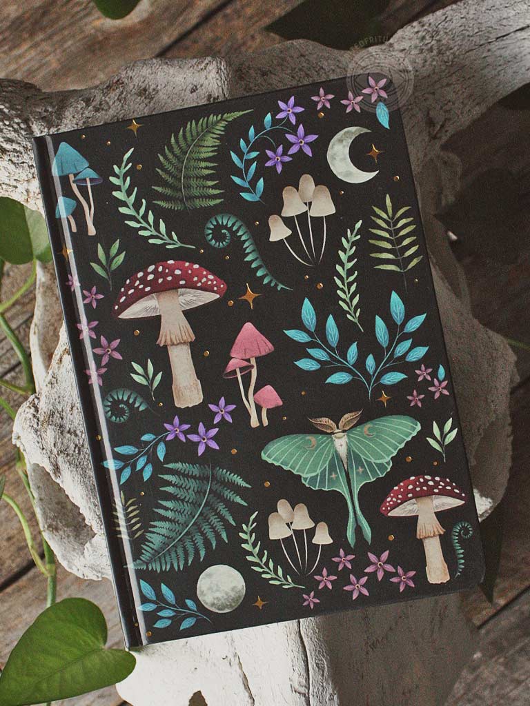 Dark Forest Notebook
