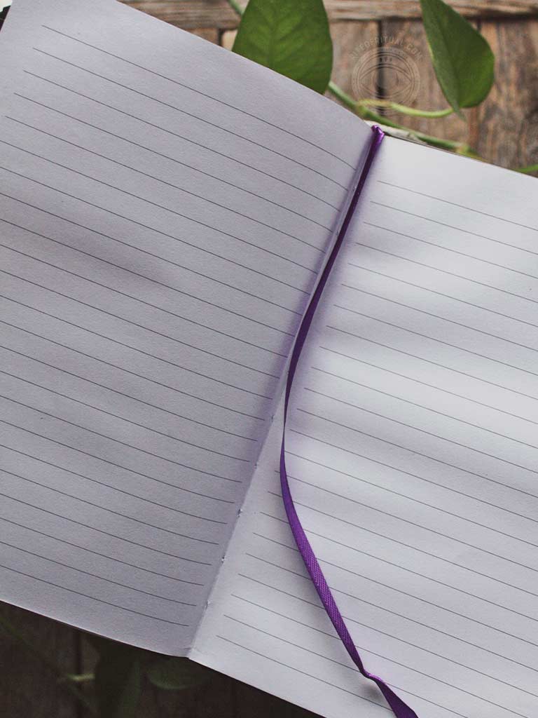 Dark Forest Notebook