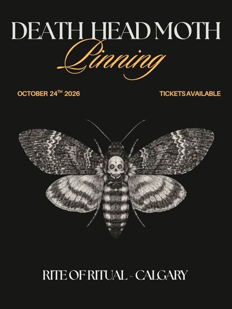 Death’s Head Hawkmoth Pinning Workshop - Oct 24 2026