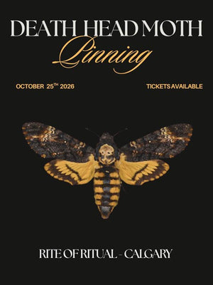 Death’s Head Hawkmoth Pinning Workshop - Oct 25 2026