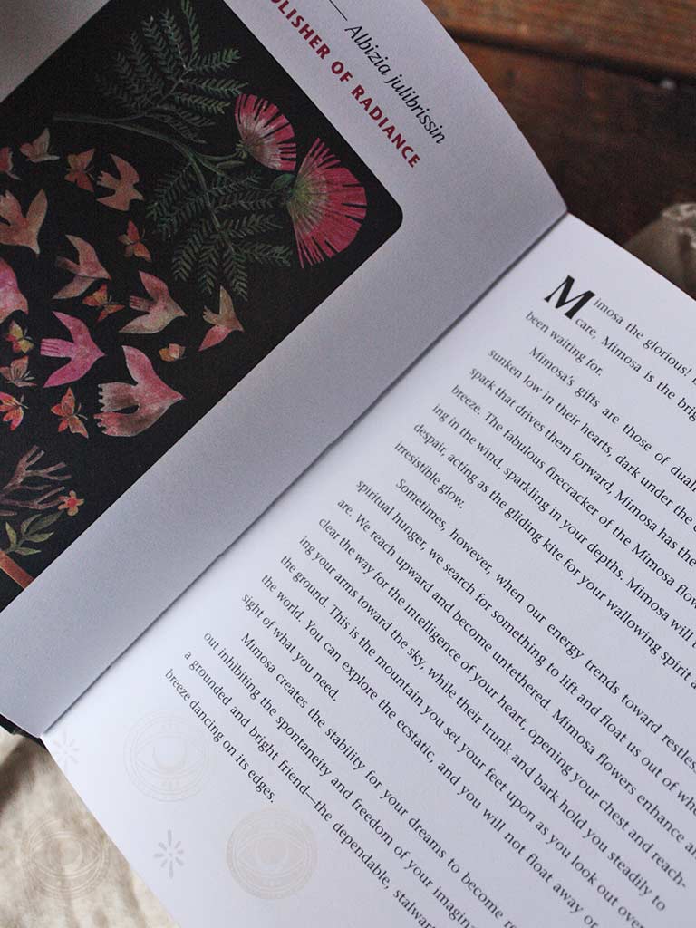 Dirt Gems - Plant Oracle Deck and Guidebook