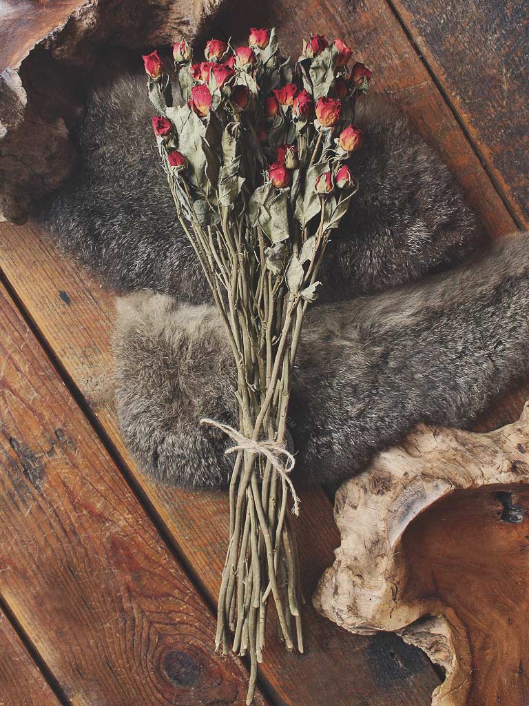 Dried Red Rose Bundles
