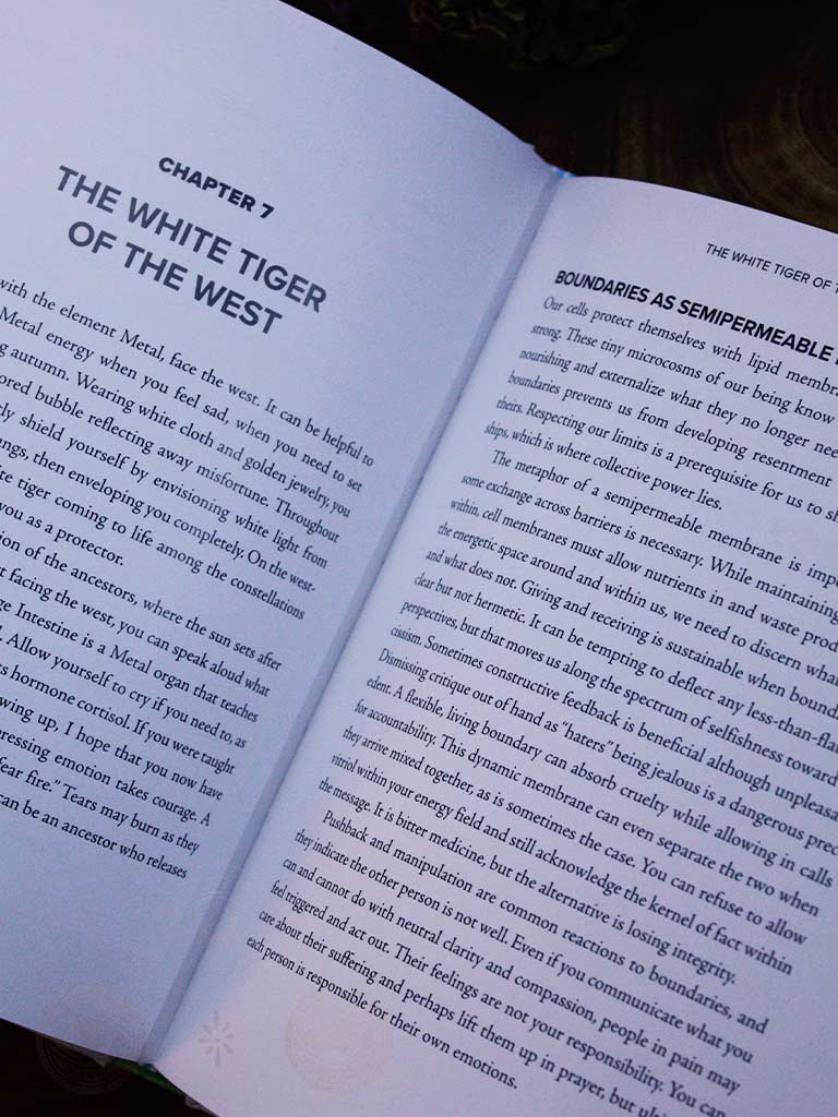 Elemental Healing - A 5-Element Path for Ancestor Connection, Balanced Energy, and an Aligned Life