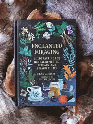 Enchanted Foraging - Wildcrafting for Herbal Remedies, Rituals, and a Magical Life