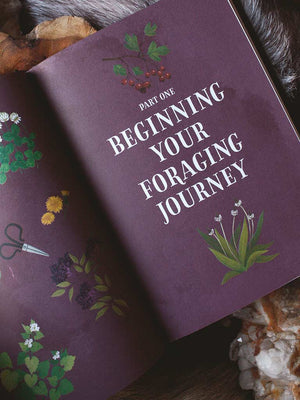 Enchanted Foraging - Wildcrafting for Herbal Remedies, Rituals, and a Magical Life