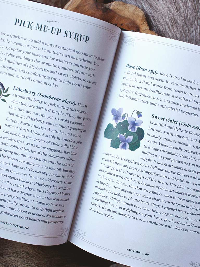 Enchanted Foraging - Wildcrafting for Herbal Remedies, Rituals, and a Magical Life