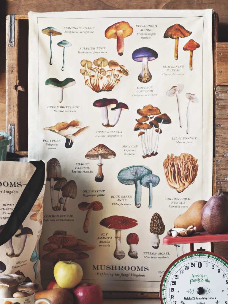 Exploring The Fungi Kingdom- Mushrooms Fine Print Dishtowel