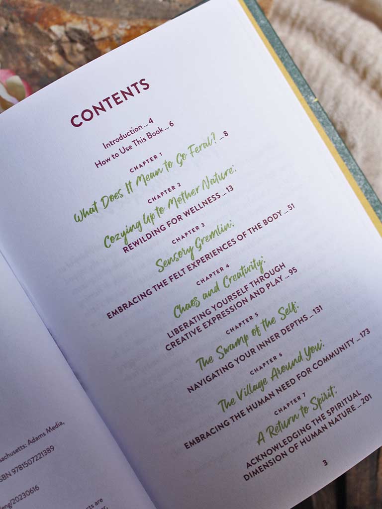 Feral Self-Care - 100 Ways to Liberate and Celebrate Your Messy, Wild, and Untamed Self