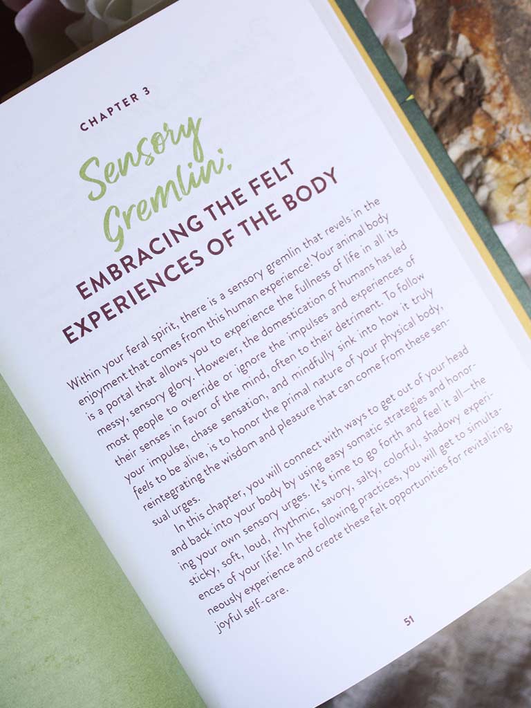 Feral Self-Care - 100 Ways to Liberate and Celebrate Your Messy, Wild, and Untamed Self