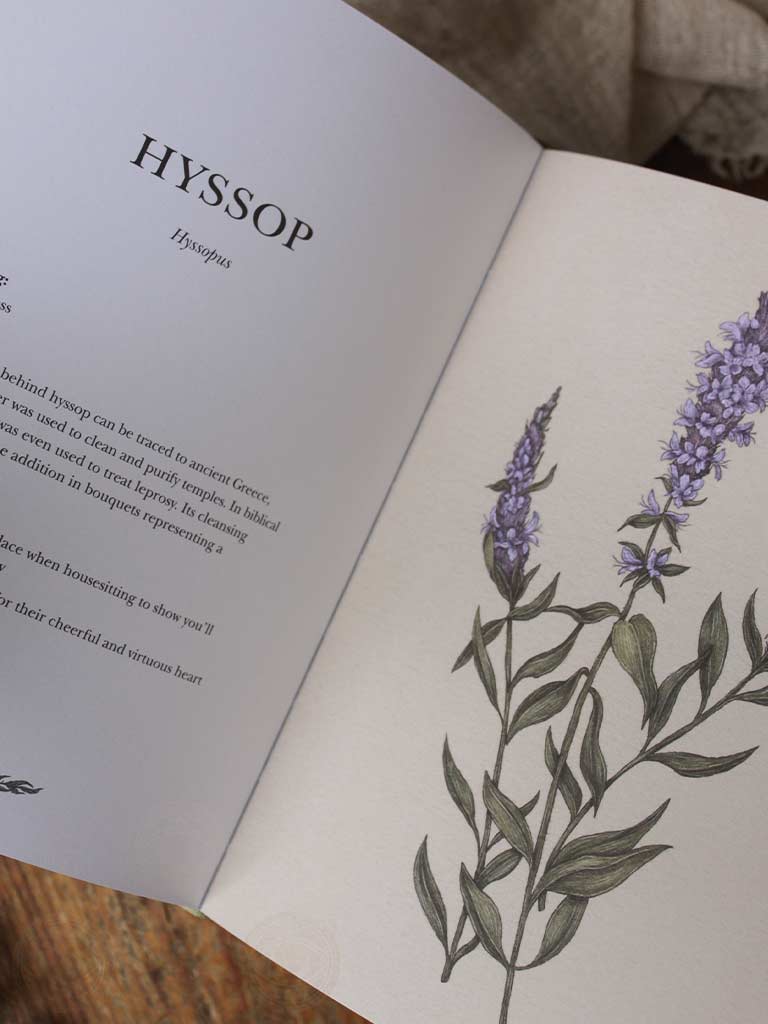 Floriography - An Illustrated Guide to the Victorian Language of Flowers