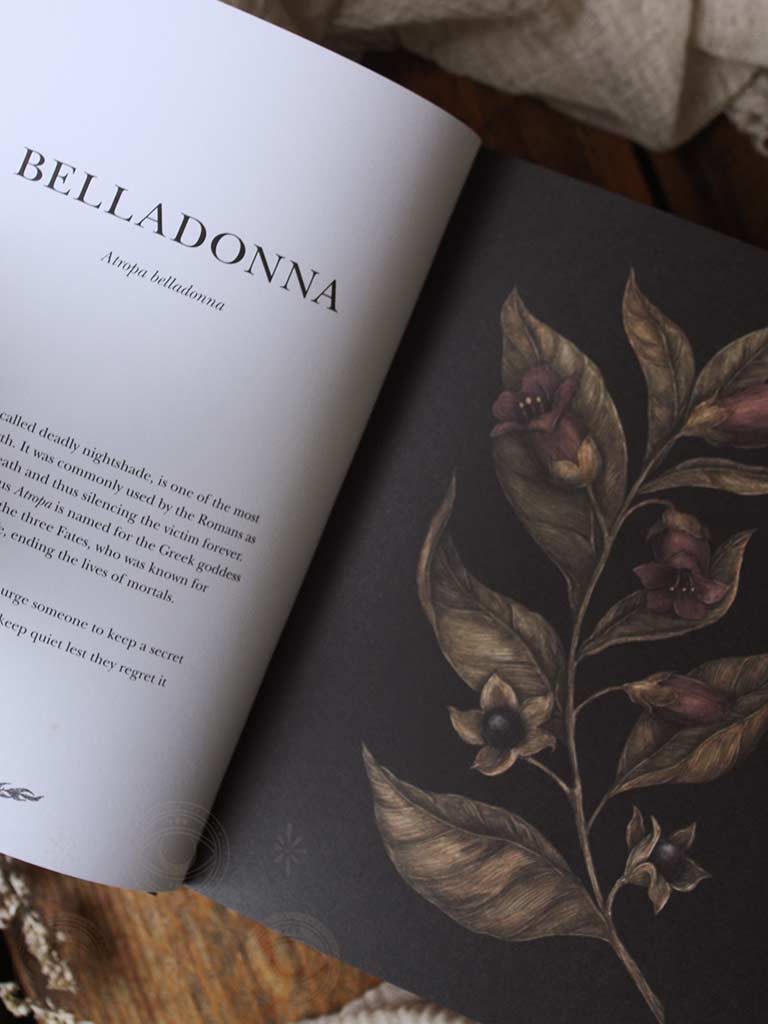 Floriography - An Illustrated Guide to the Victorian Language of Flowers