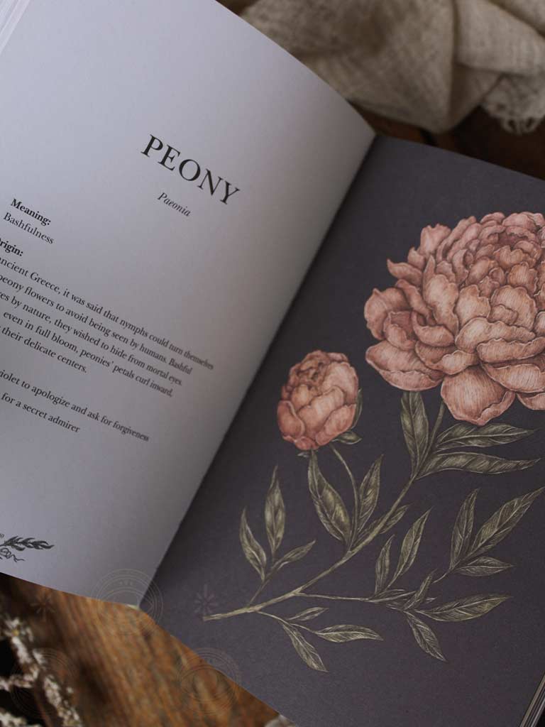 Floriography - An Illustrated Guide to the Victorian Language of Flowers