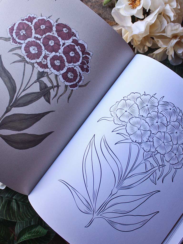 Floriography Colouring Book