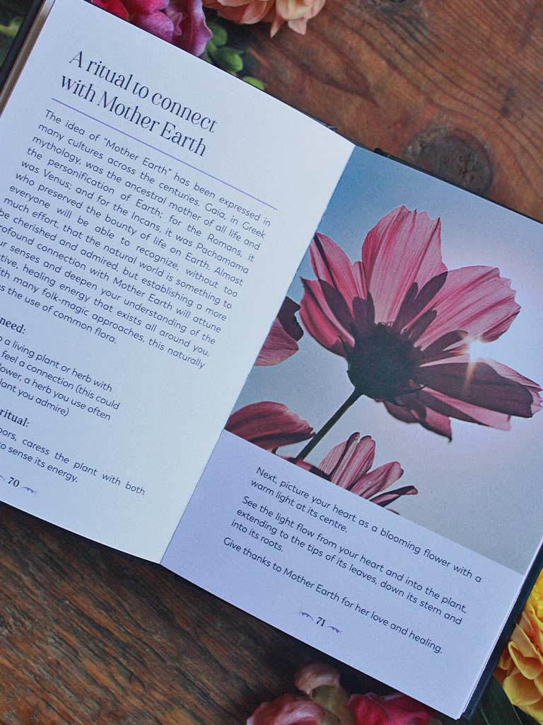 Folk Magic - A Beginner’s Guide to Time-Honoured Rituals, Spells and Customs