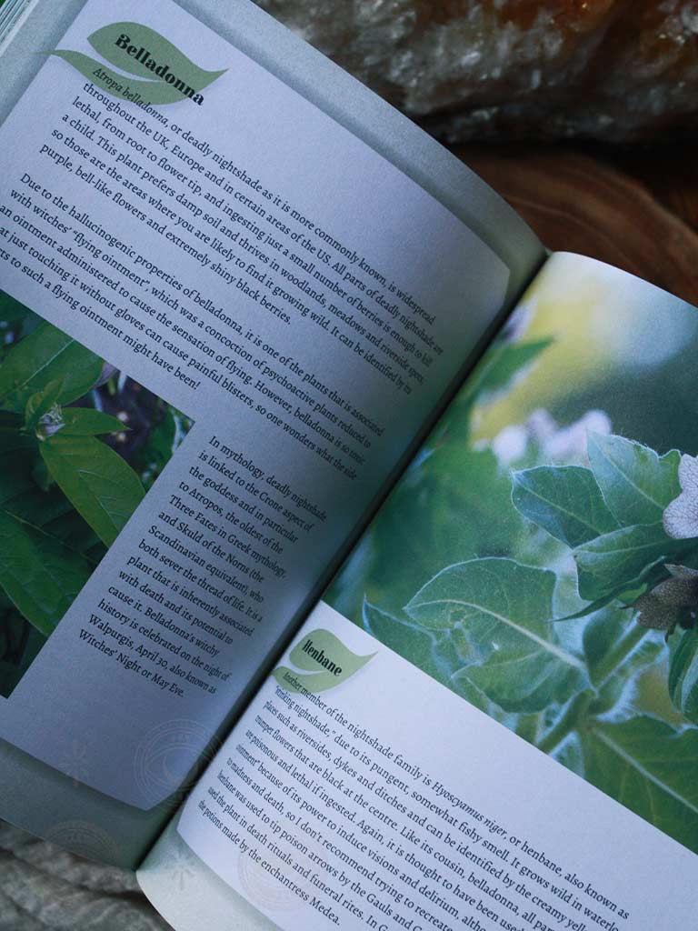 Green Witchcraft - Magical Ways to Walk Softly on the Earth