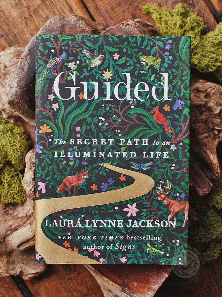 Guided - The Secret Path to an Illuminated Life