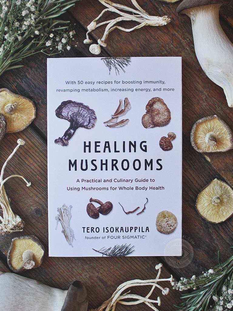 Healing Mushrooms - A Practical and Culinary Guide to Using Mushrooms for Whole Body Health