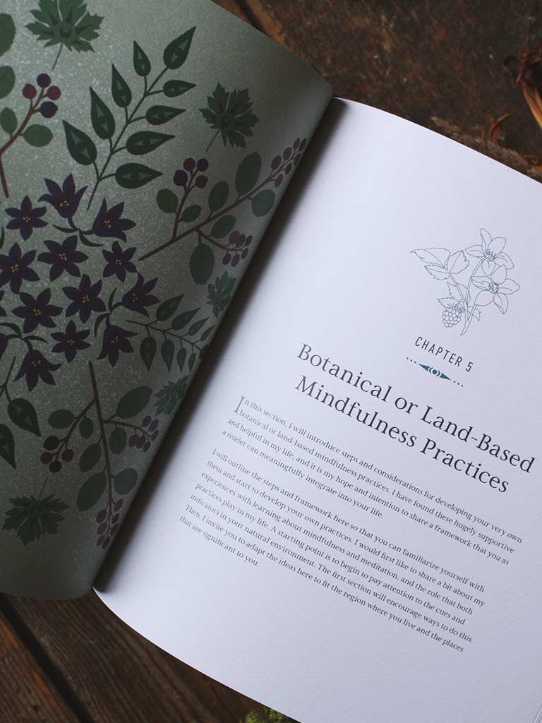 Held by the Land - A Guide to Indigenous Plants for Wellness