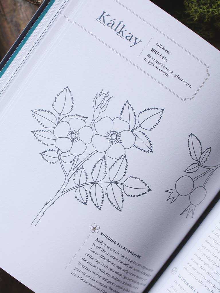 Held by the Land - A Guide to Indigenous Plants for Wellness