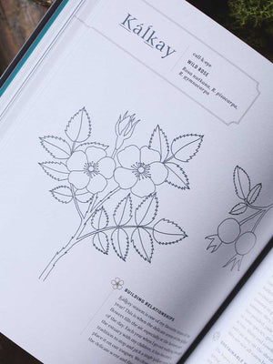 Held by the Land - A Guide to Indigenous Plants for Wellness