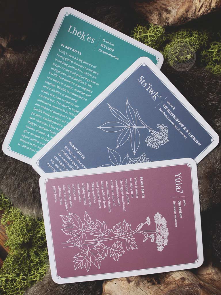 Held by the Land Deck