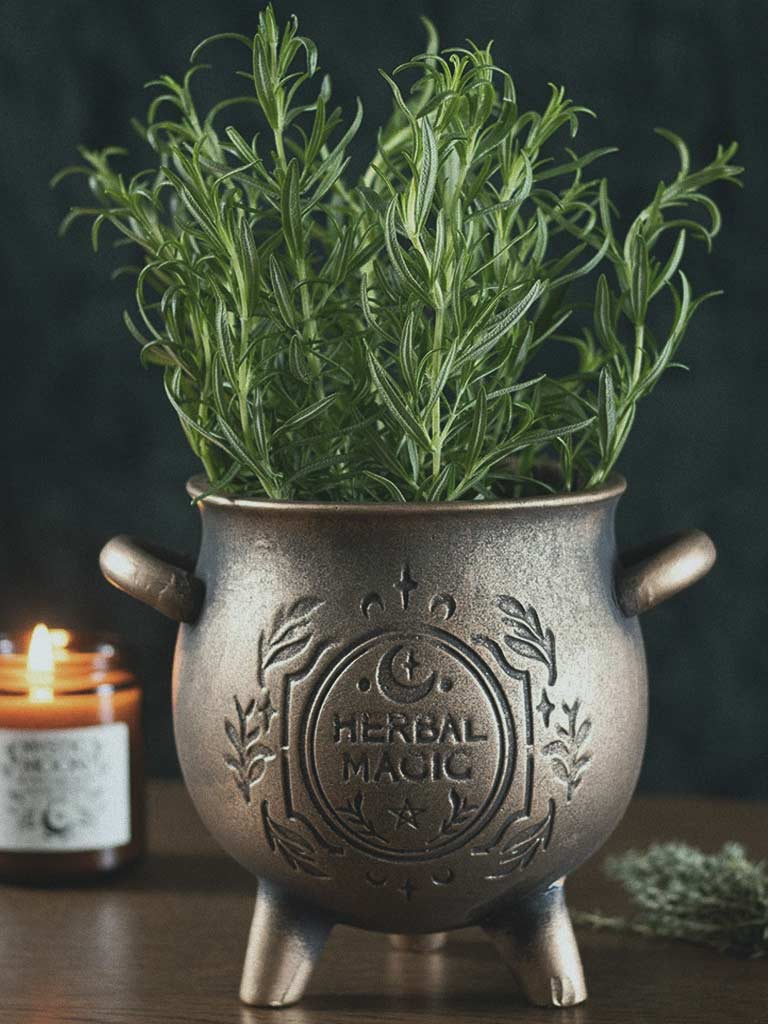 Herbal Magic Cauldron Pot