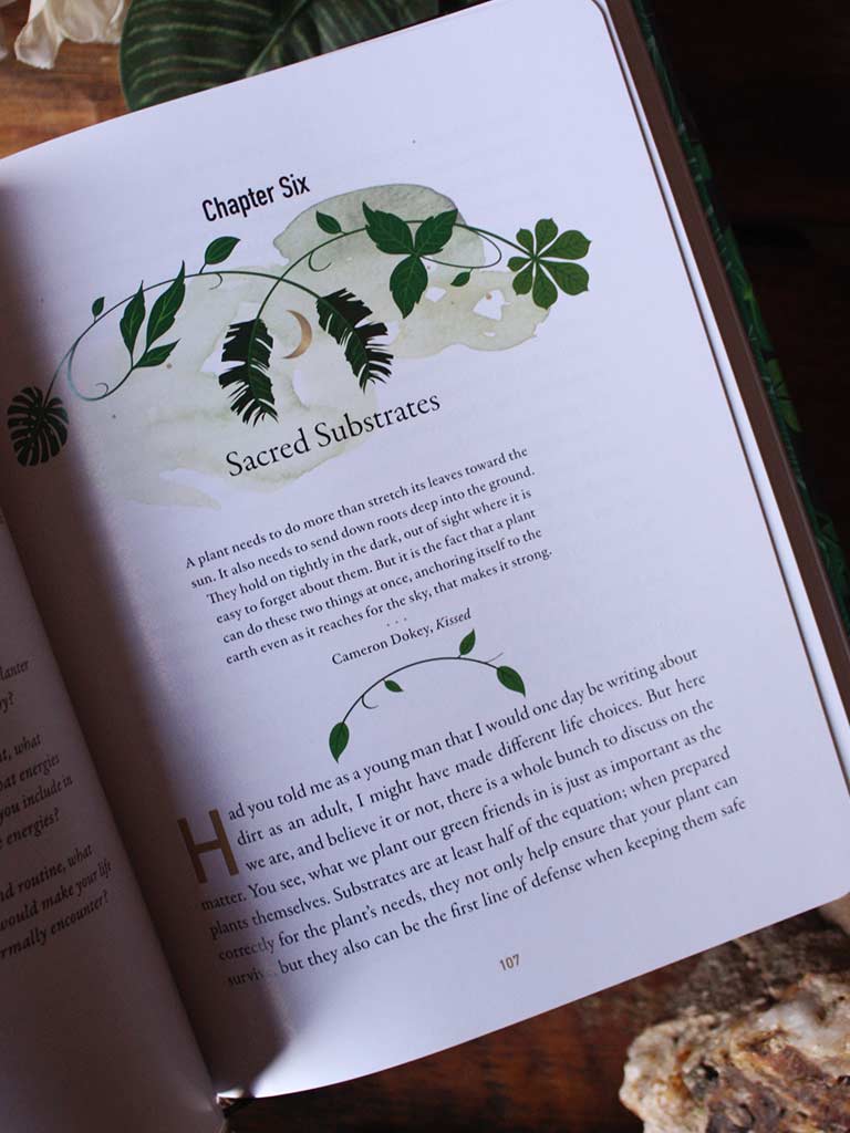indoor plants for witches Houseplant HortOCCULTure - Green Magic for Indoor Spaces