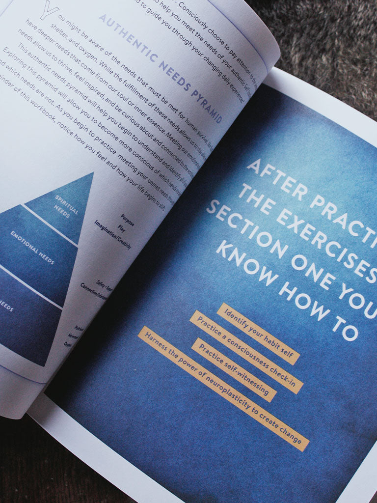 How to Meet Your Self - The Workbook for Self-Discovery